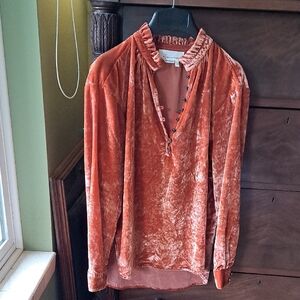Velvet Long Sleeve Blouse in Rust